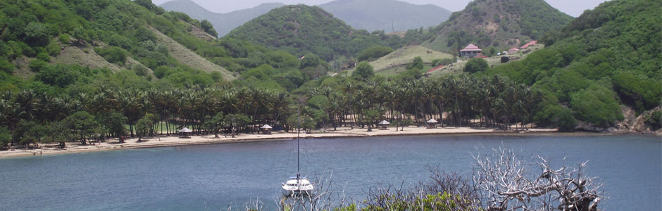 3pompierre-chez-gisele-et-philippe-terre-de-haut-les-saintes.jpg